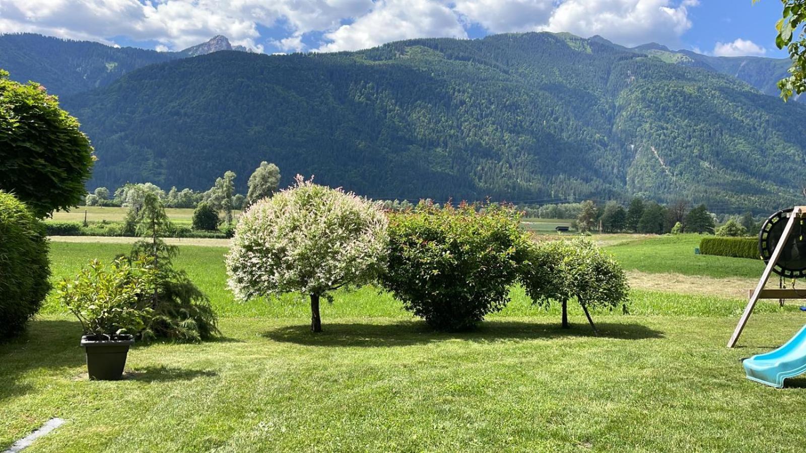 Mountainview Apartment Scheurer Ениг Экстерьер фото